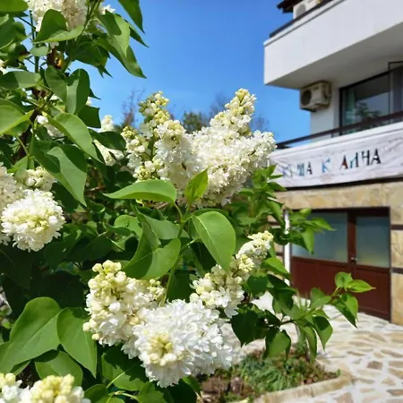 Kalina * لوزينيتس