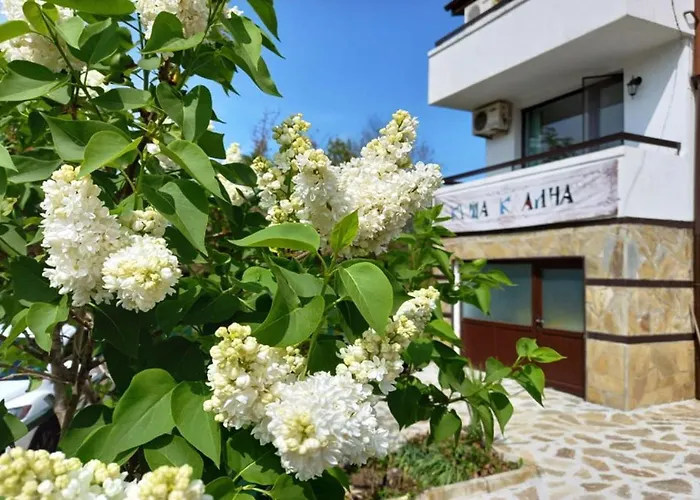 Kalina * Lozenets